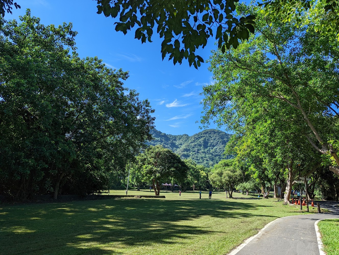 南靖陶藝河濱公園大片綠地