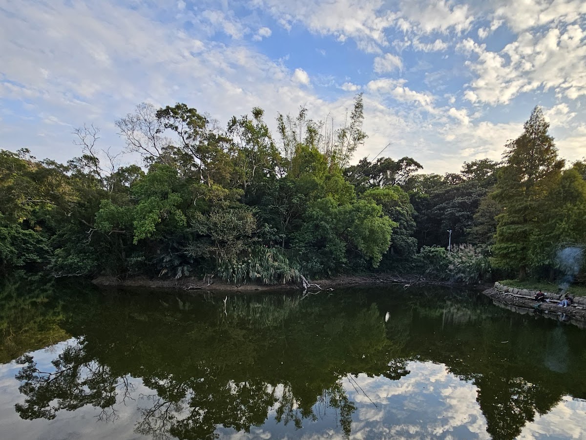 神桌山步道旁山中水塘，藍天雲彩倒影