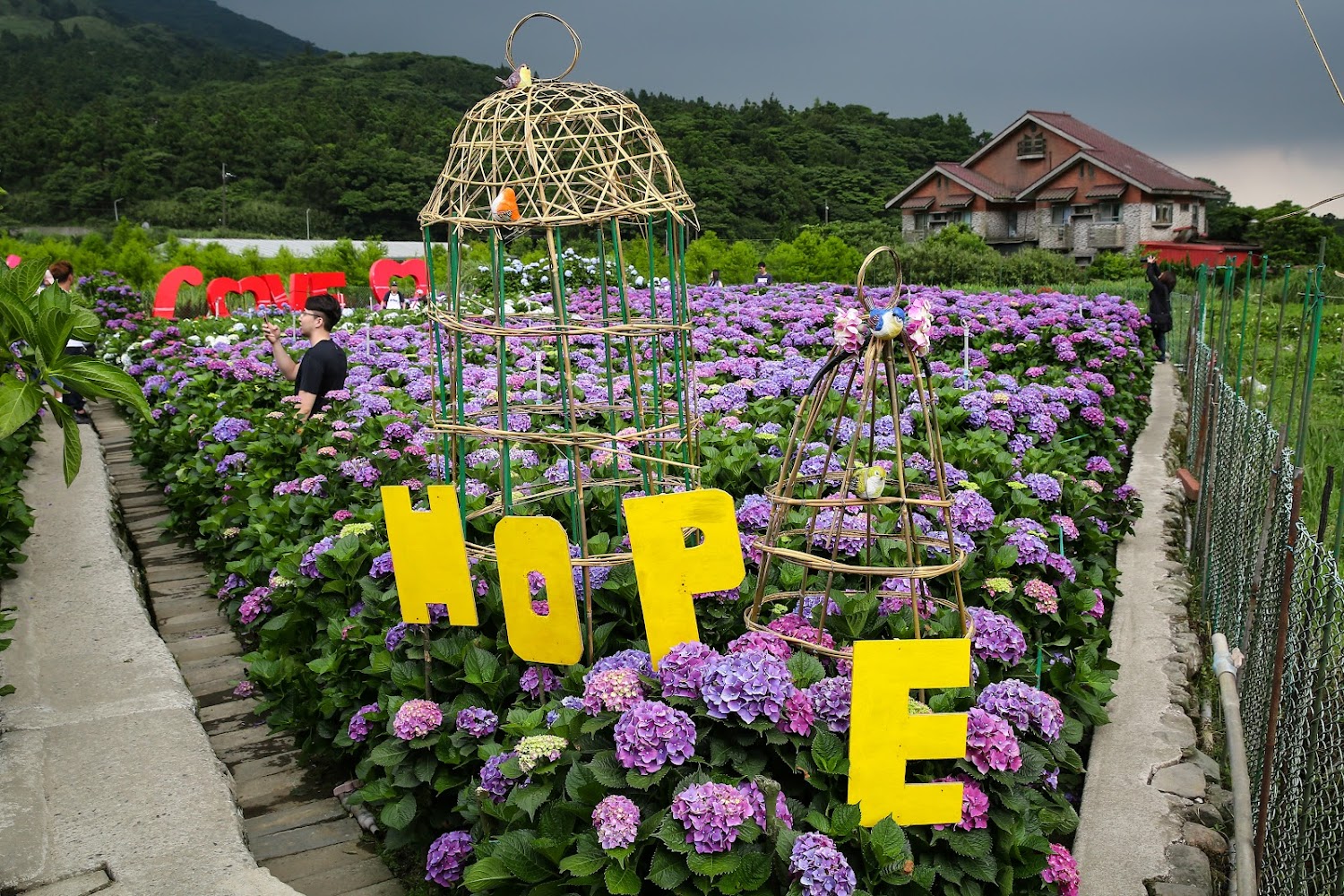 頂湖財福繡球花園裝置藝術與花田