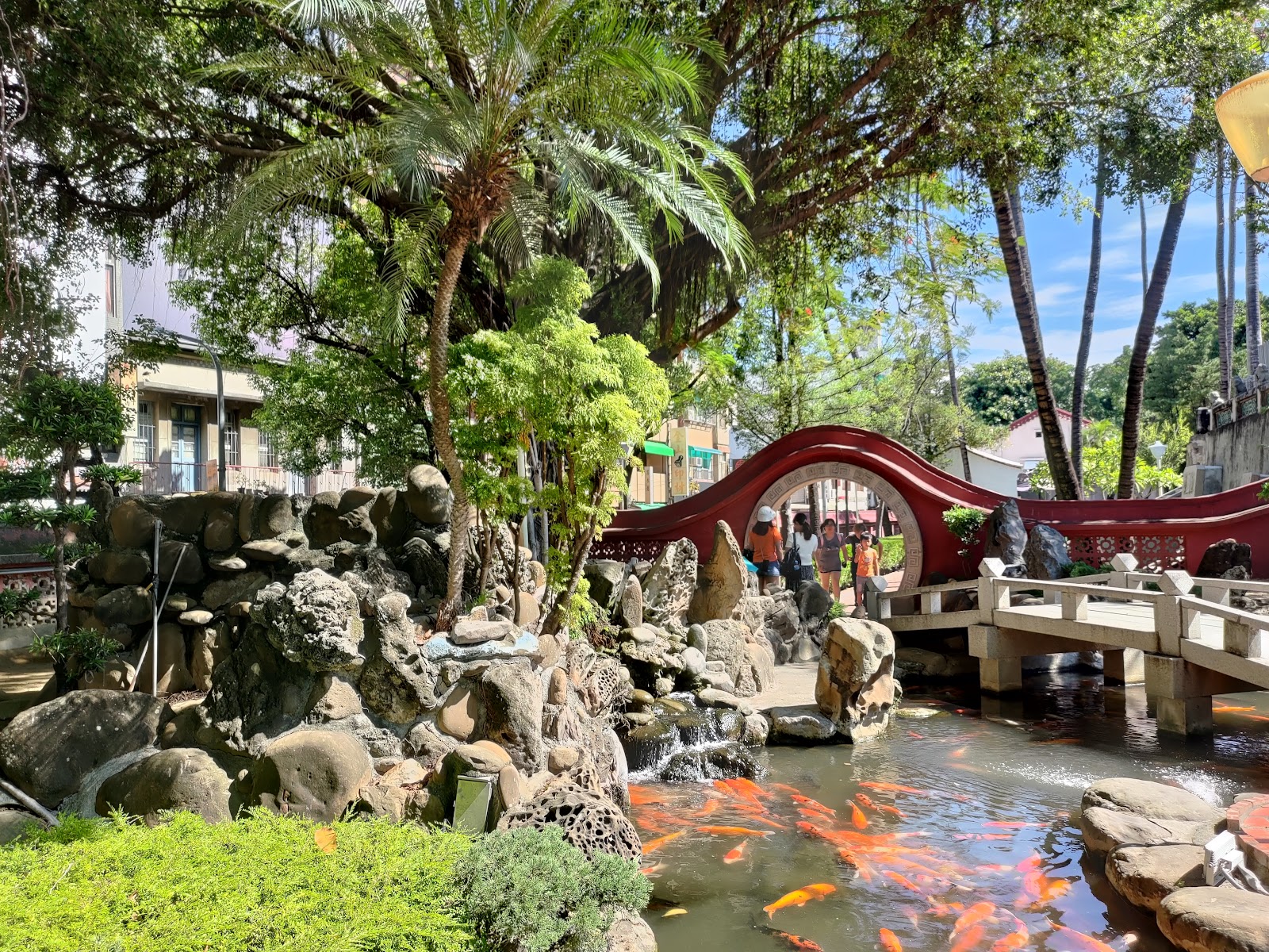 赤嵌樓庭院月亮門拱橋橫跨鯉魚池,錦鯉游弋假山大樹相映成趣