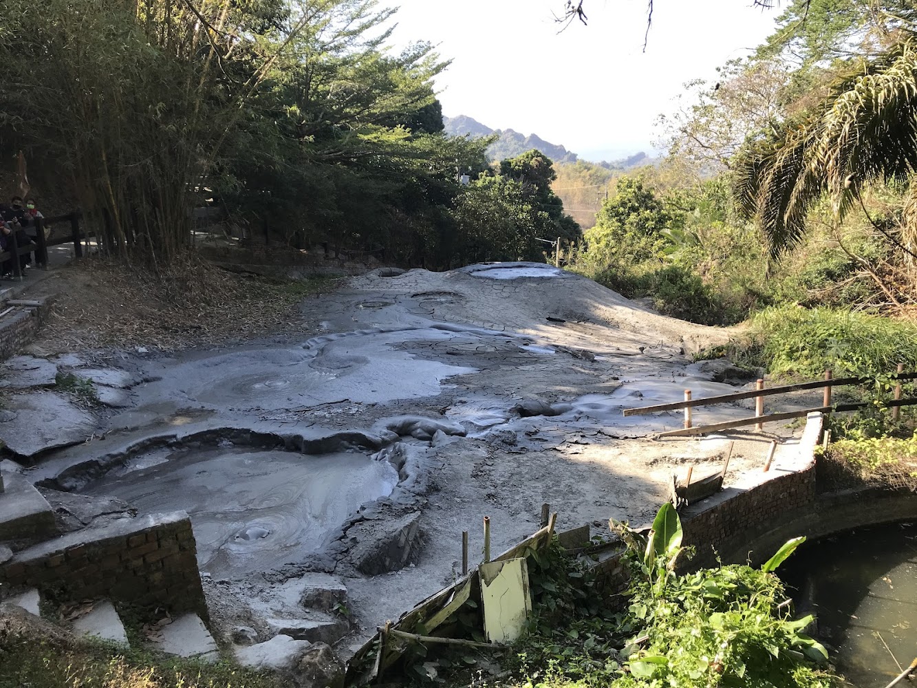 灰色泥火山景觀與周圍植被