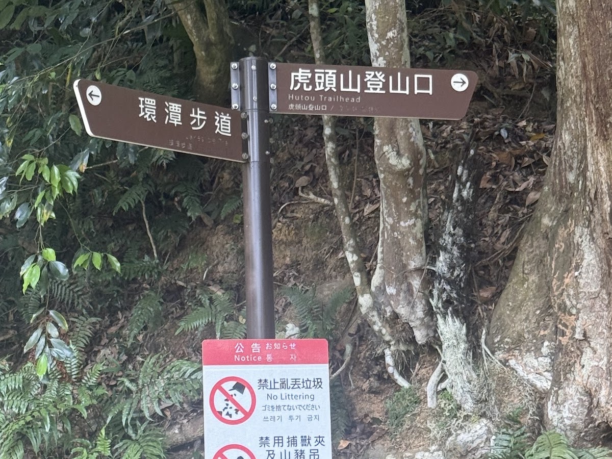 鯉魚潭環潭步道與虎頭山登山口指標，翠綠山林環境幽靜