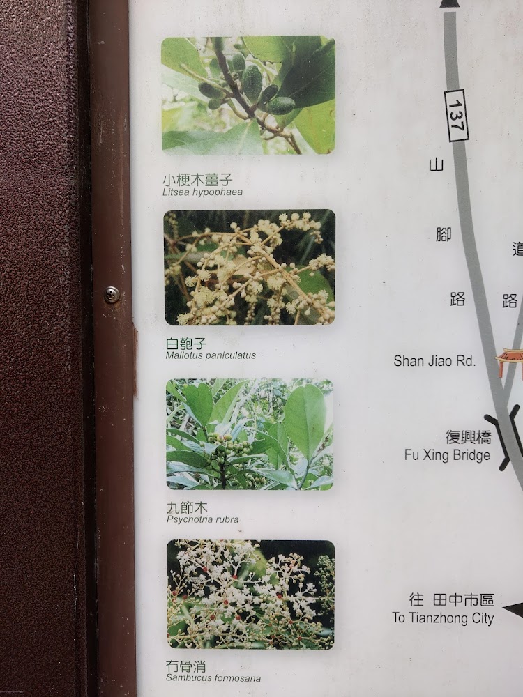 植物解說牌介紹常見植物