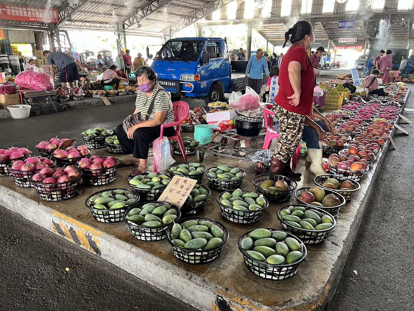 青果集貨場攤位擺滿青芒果