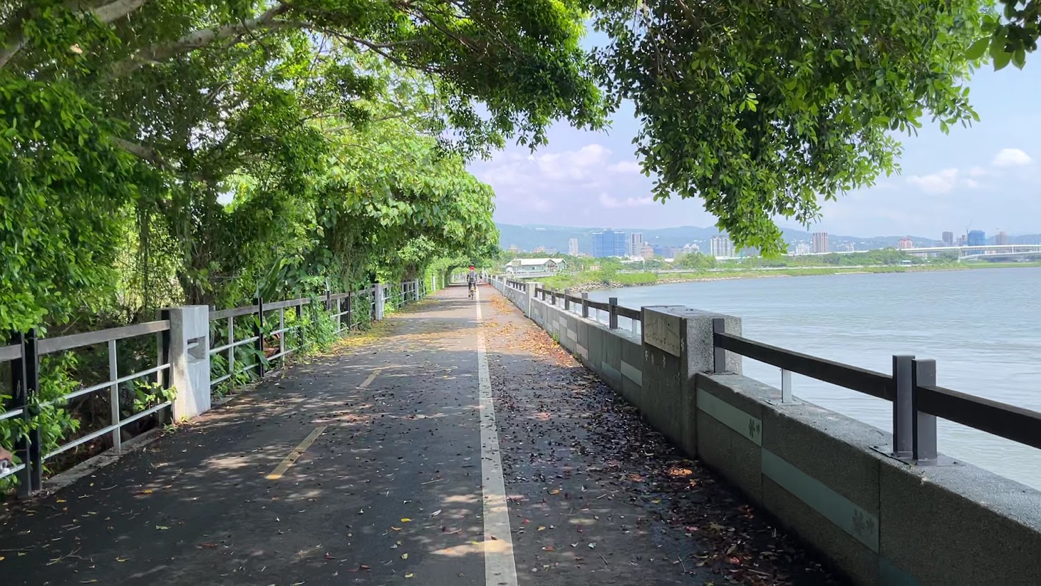 淡水河岸自行車道河景視角