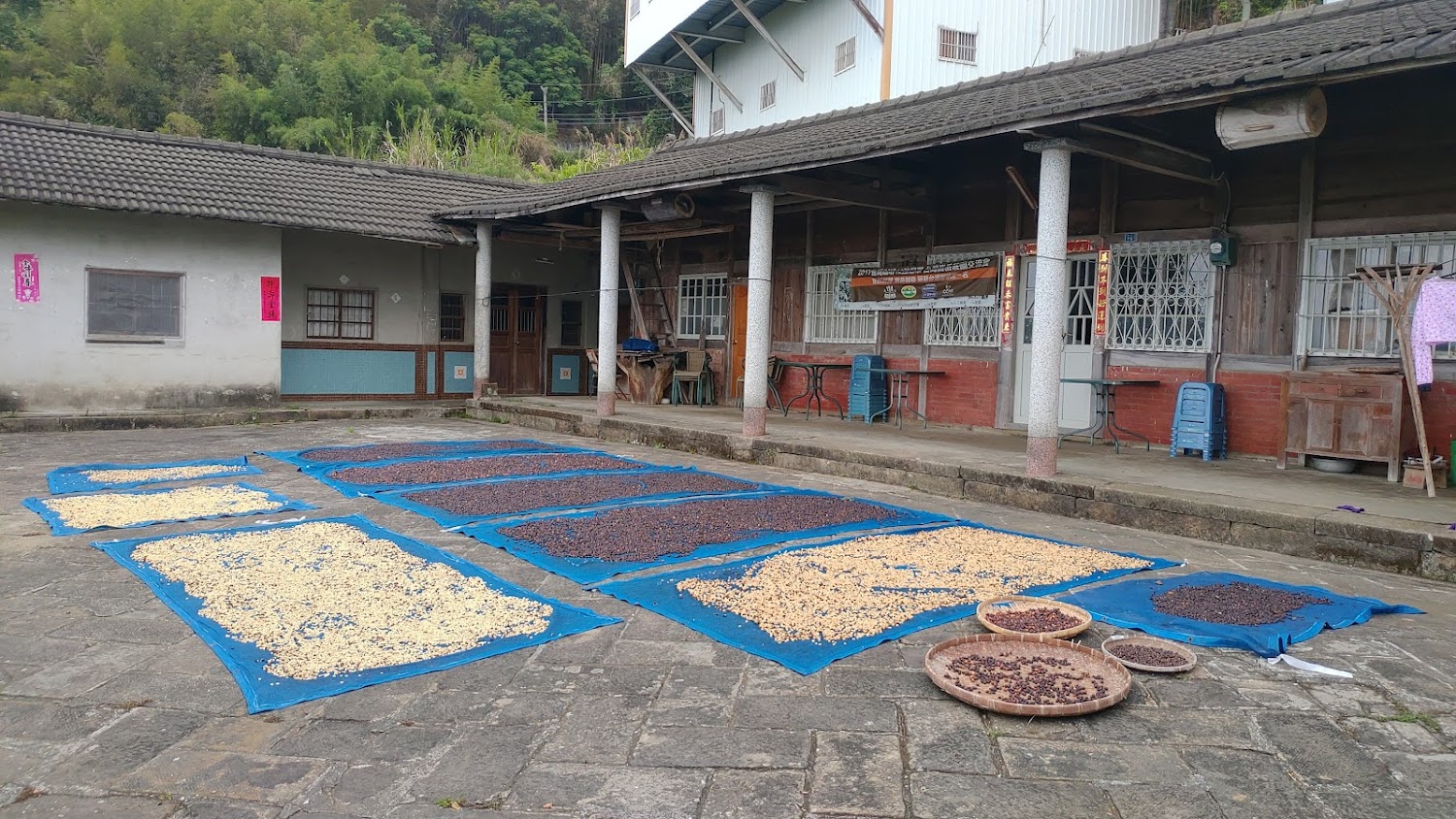 嵩岳咖啡莊園庭院曬豆場景