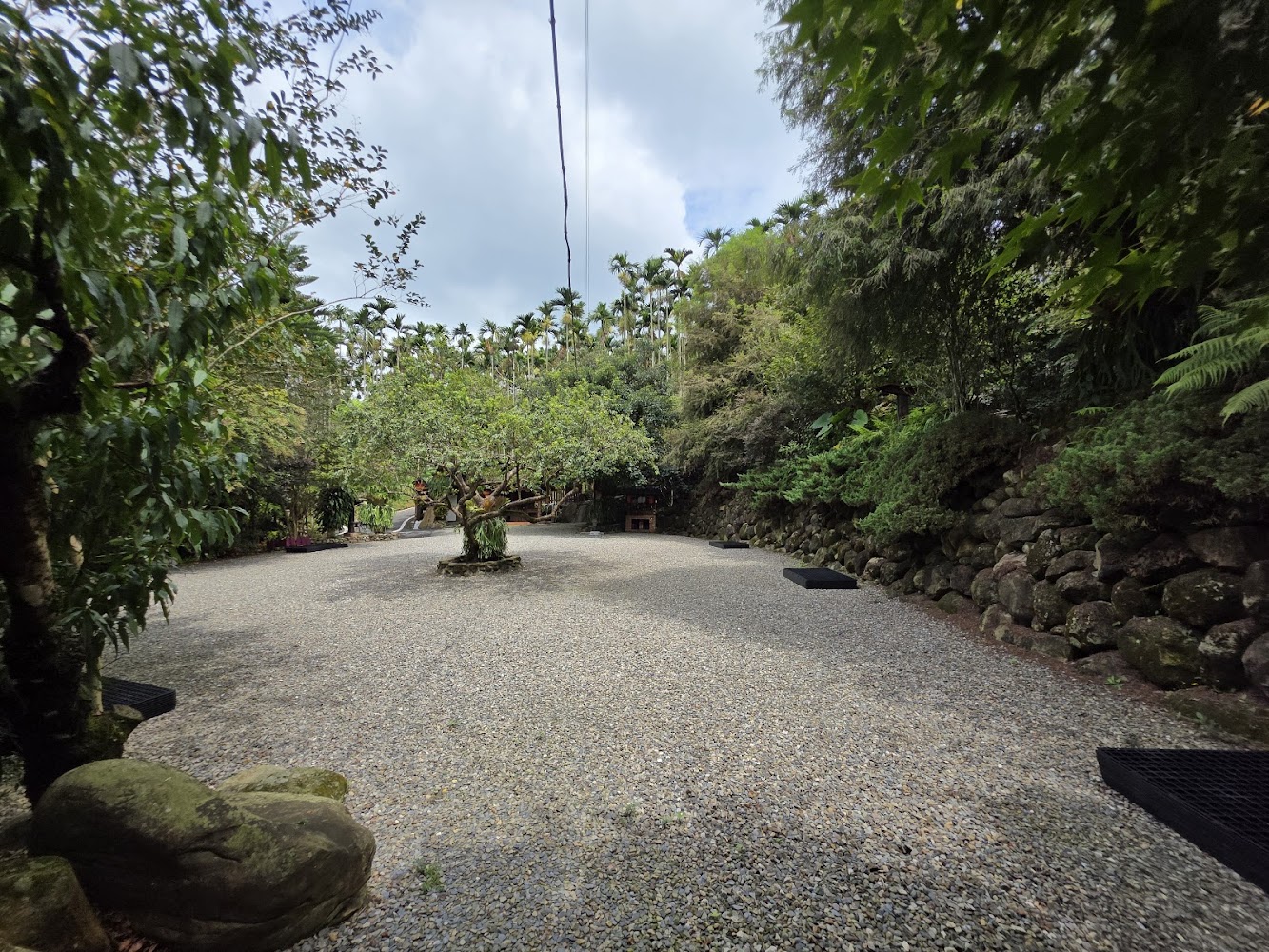 仙徠山莊景觀餐廳室外庭院與綠樹