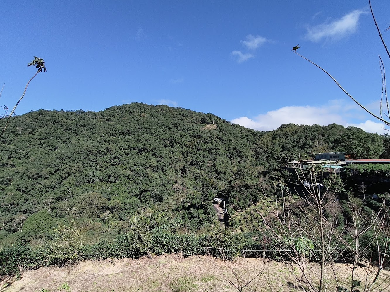 八卦茶園景觀台周邊山林與房舍景色