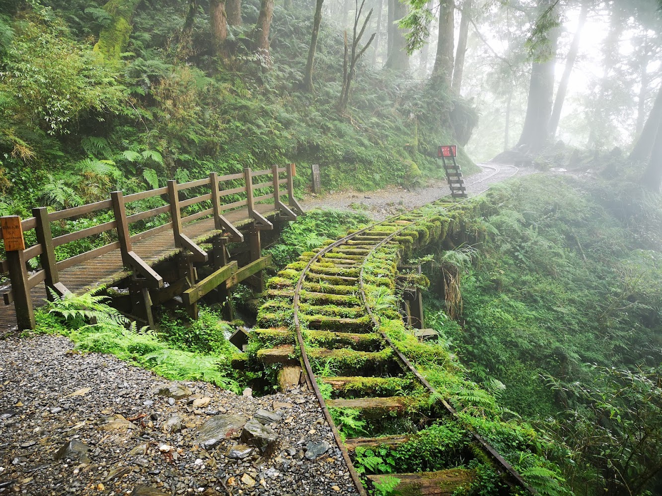 濃霧中的森林鐵道與青苔木橋