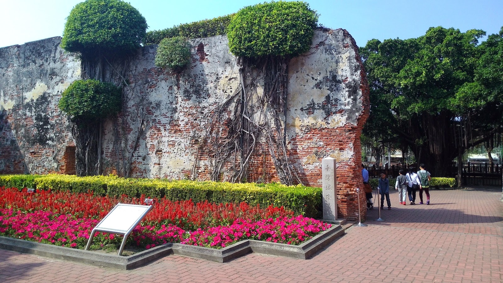 安平古堡古城牆近拍，榕樹氣根蔓延磚牆，前方花圃