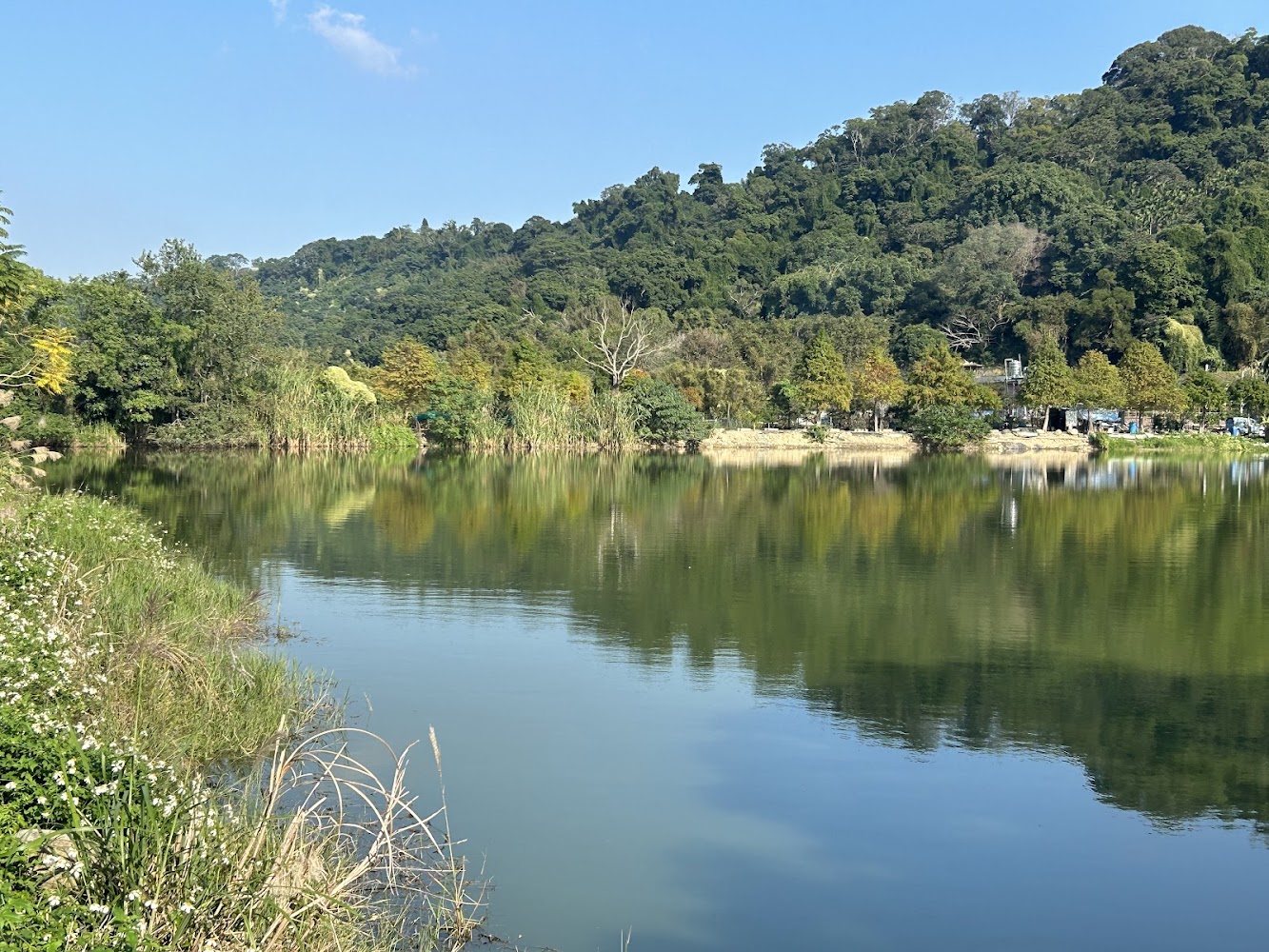 大溪康莊休閒農業區湖泊森林景觀