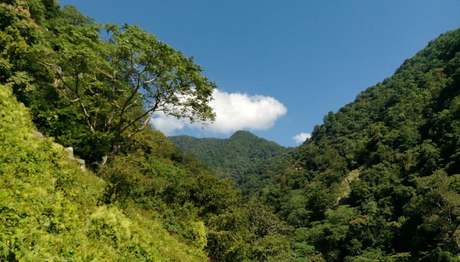 屋我尾山青翠山林與藍天白雲