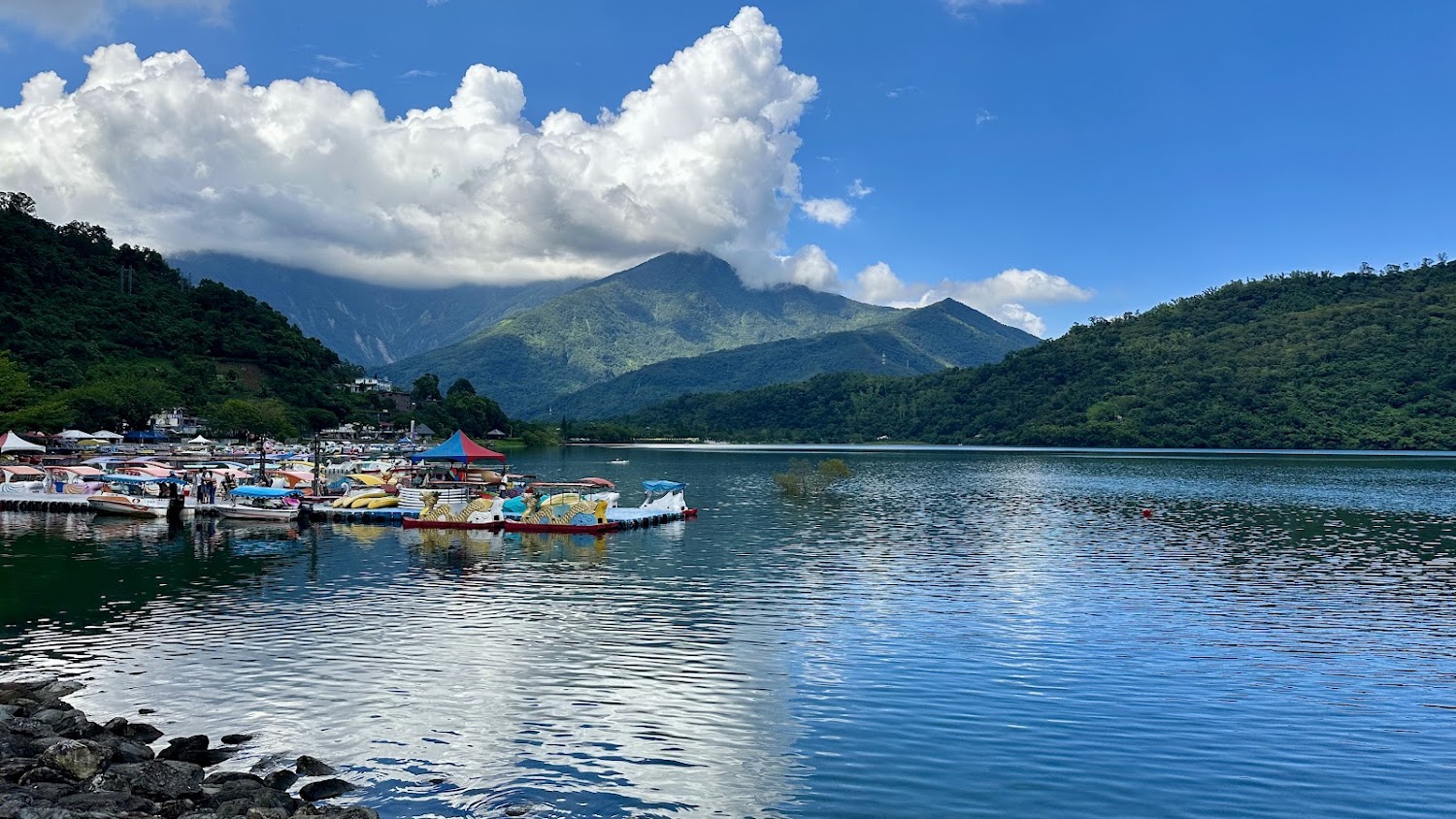 湖邊有天鵝船與遊客活動的鯉魚潭景象