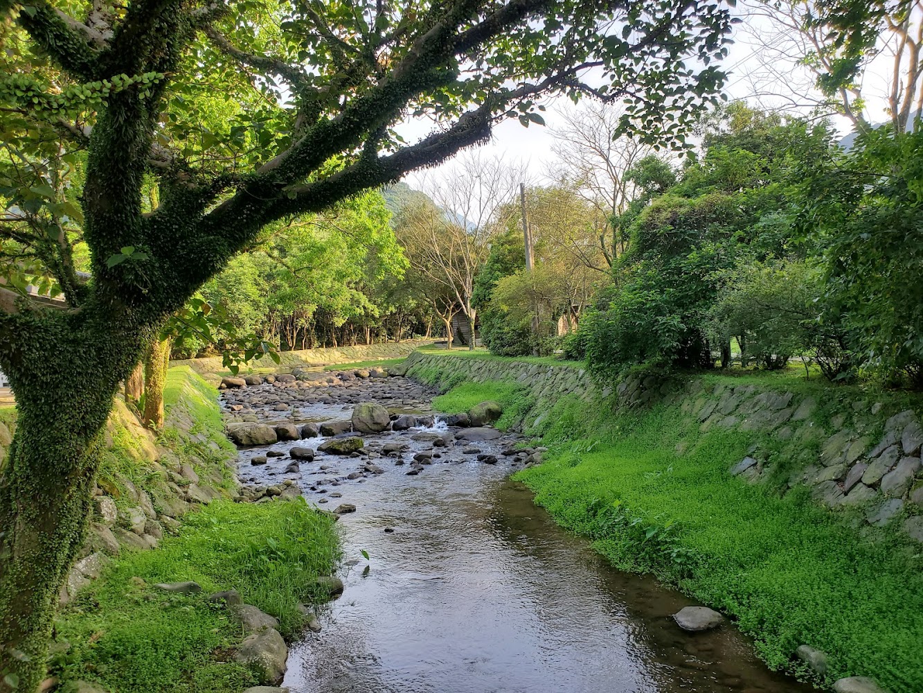 磺溪頭清水園區溪流與綠樹環繞景色