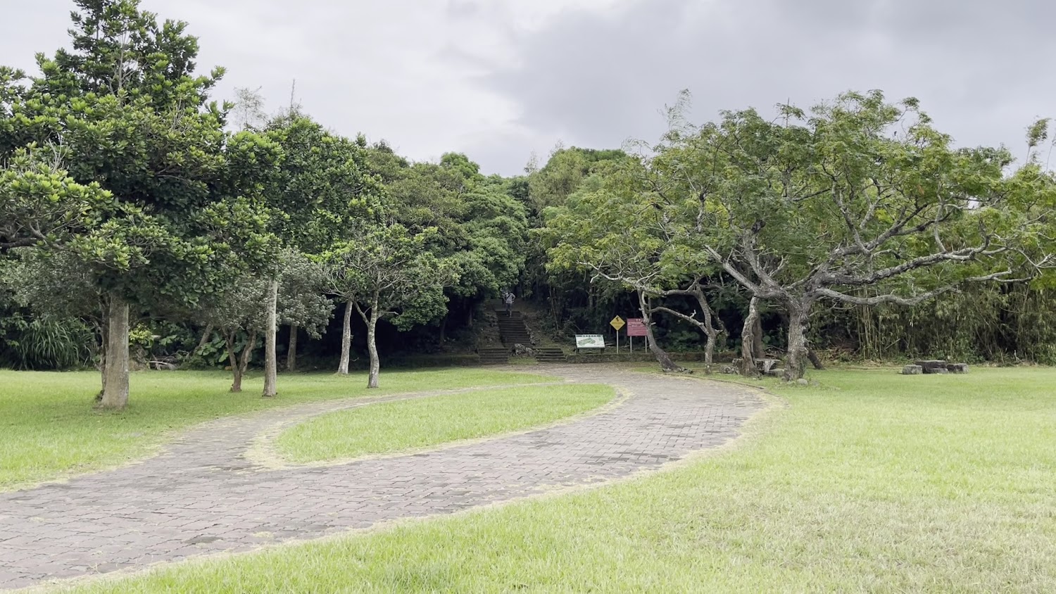 草地步道與階梯景色