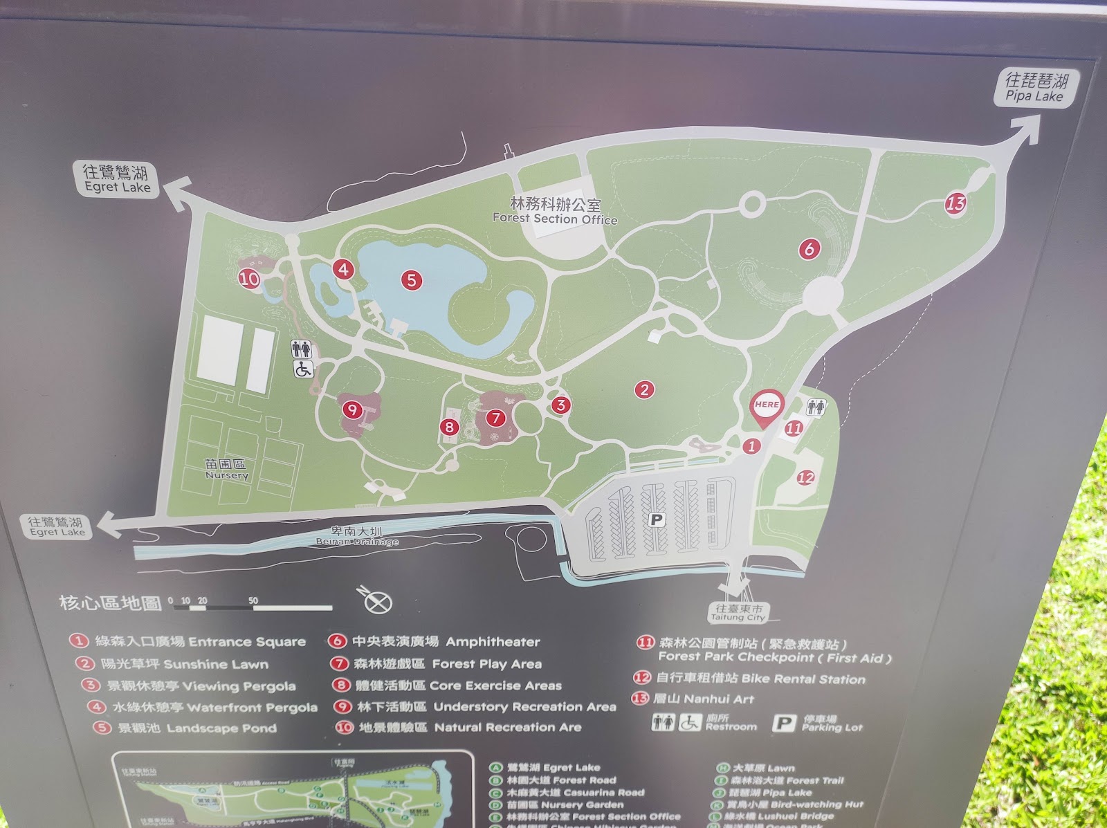 台東森林公園核心區地圖標示琵琶湖活水湖鷺鷥湖各設施位置