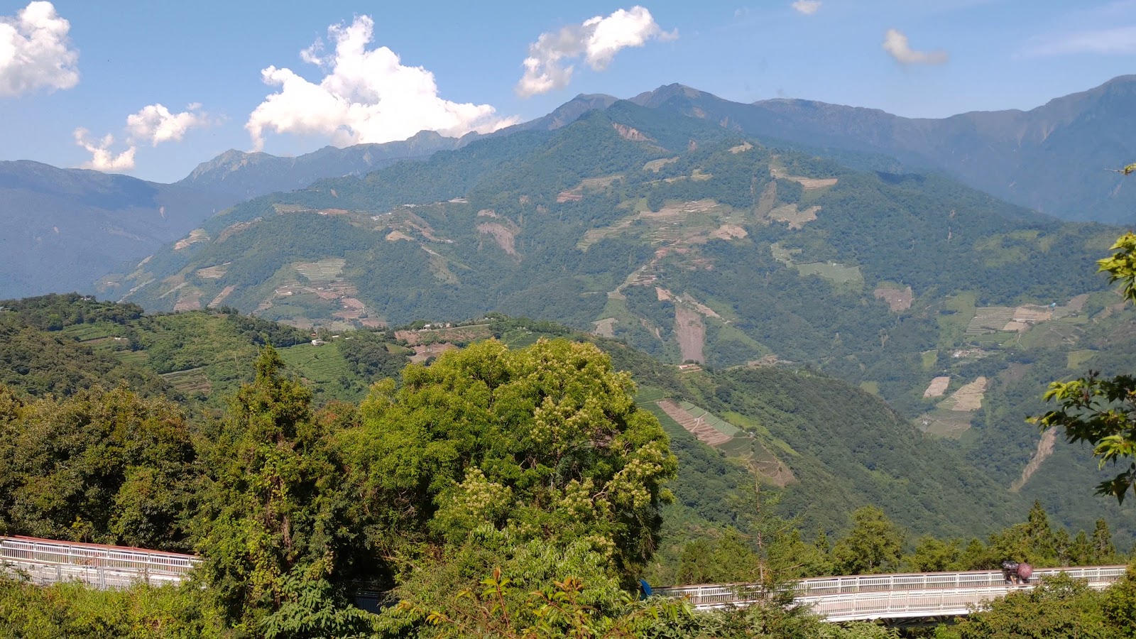 清境農場俯瞰山景與高空觀景步道天空步道橋梁