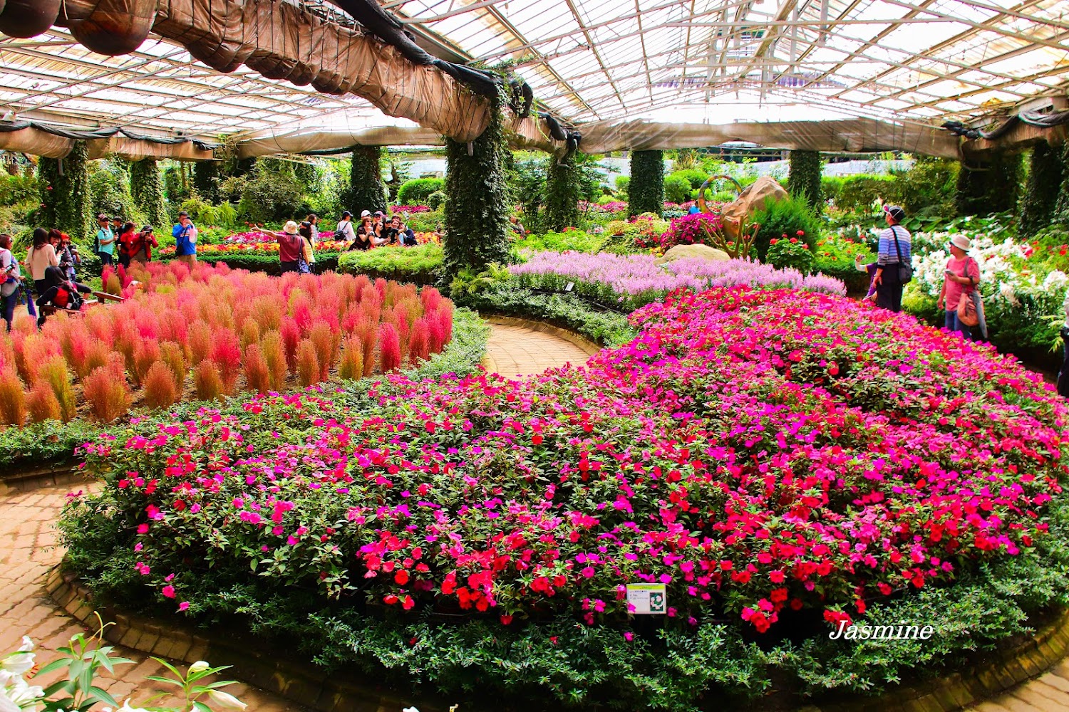 溫室花園裡有各式彩色花卉