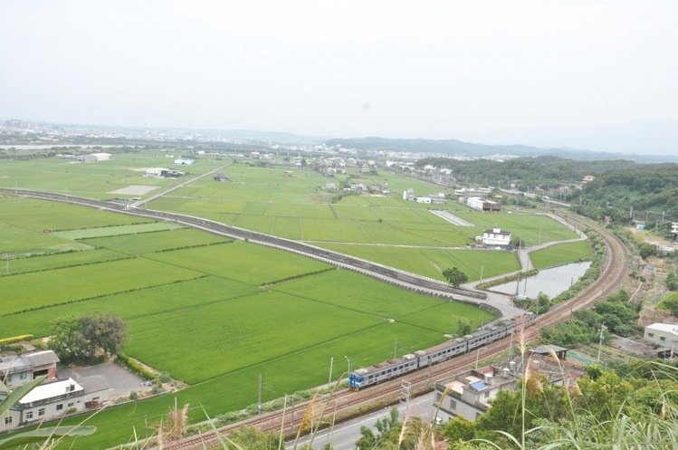火車穿越綠色稻田與鄉村聚落