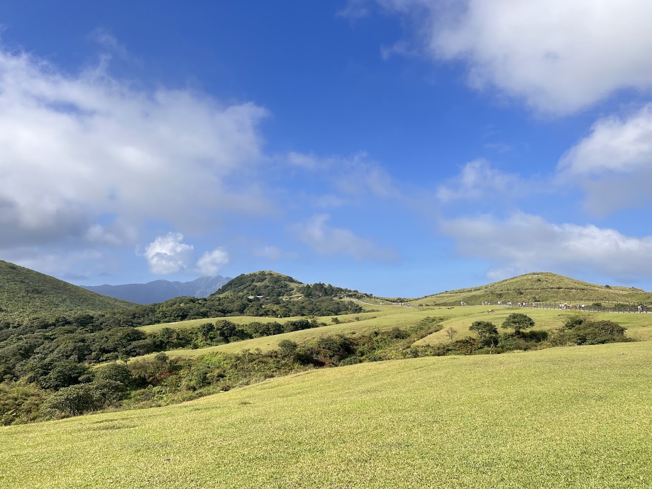 陽明山大片草原與藍天山景