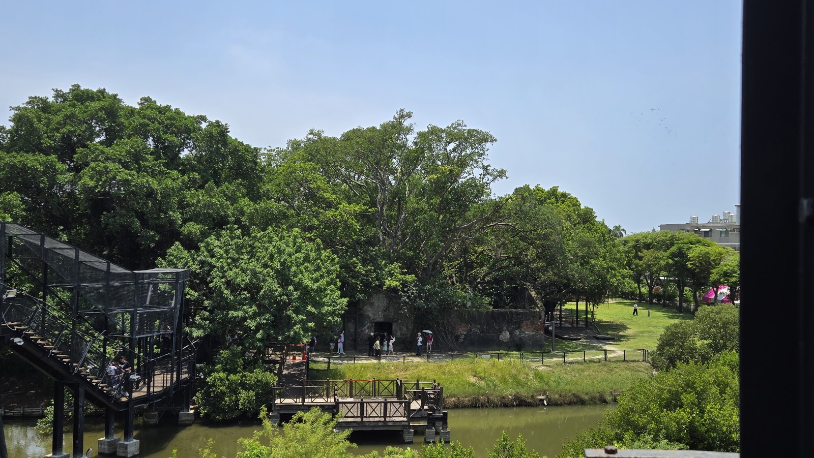 安平樹屋高空木棧道俯瞰視角，水道與綠意交織