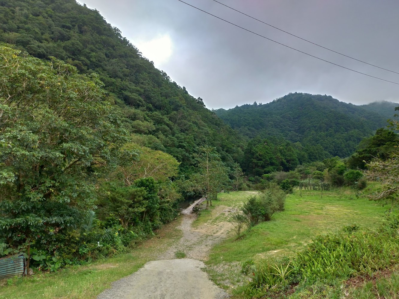 綠意盎然山谷中有小徑與溪流