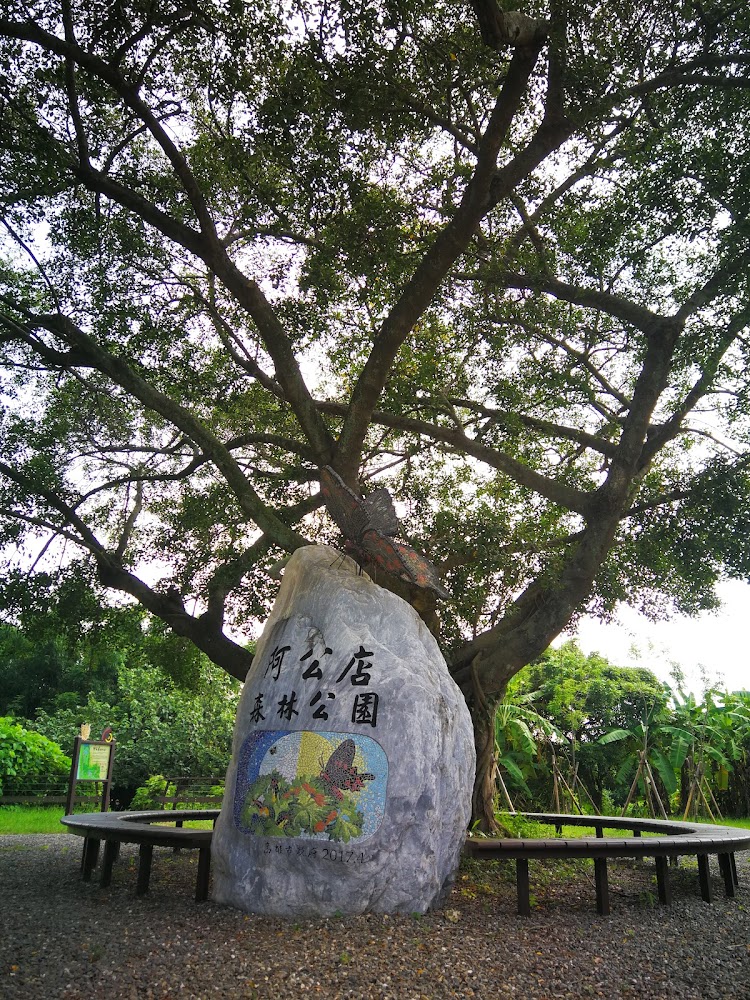 阿公店森林公園大樹與石碑