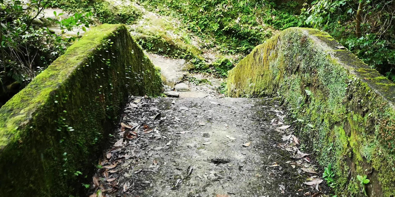 樓仔厝古道青苔石橋景觀