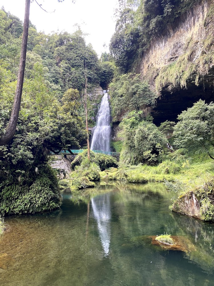 杉林溪森林瀑布與清澈池水景色