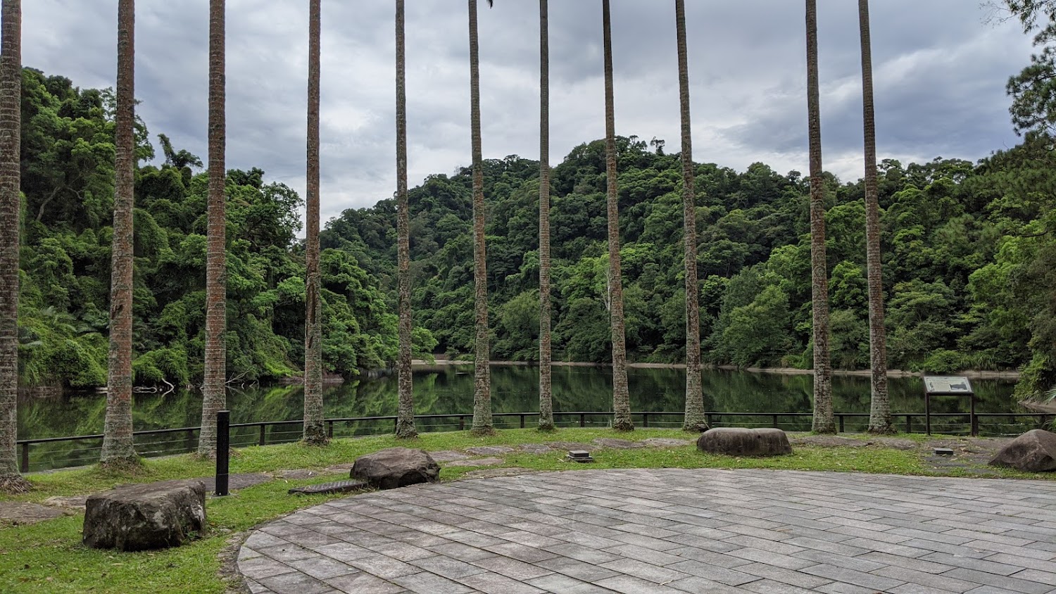 後慈湖旅遊景點區湖畔棕櫚樹景色