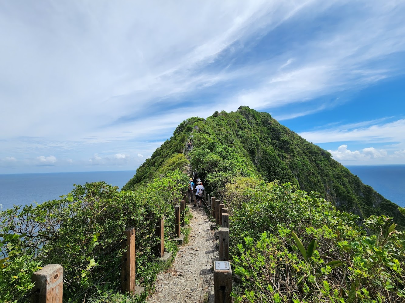 這張圖片主要呈現一條山脊步道，兩側綠意盎然，步道通往山頂，遠方可見大海與藍天，美麗的自然景色中有人在步道上健行。