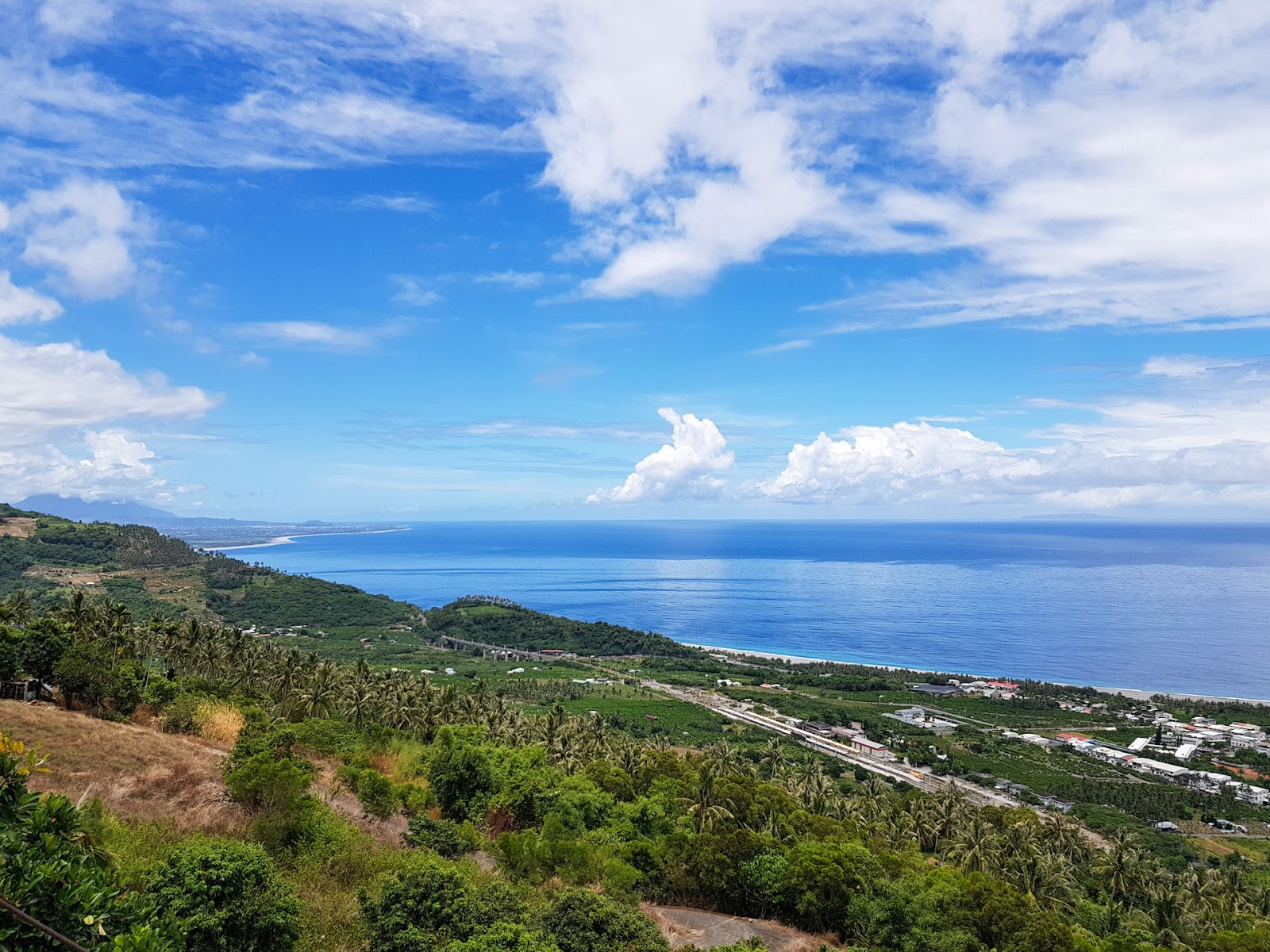 日昇台俯瞰太麻里海岸全景，棕櫚樹農田，太平洋，台東景點推薦