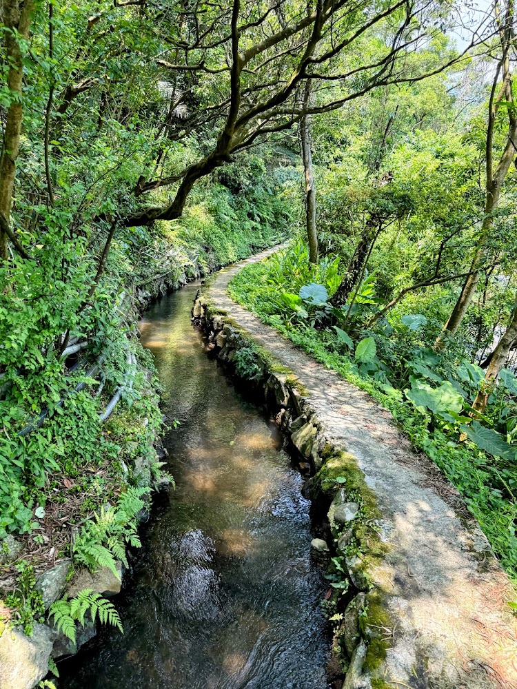 猴崁圳古道溪流彎道與石砌小路景色
