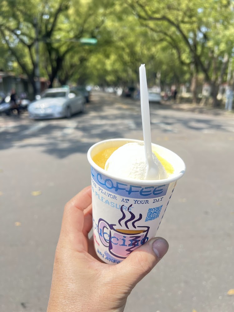 手持紙杯冰淇淋與綠蔭街景