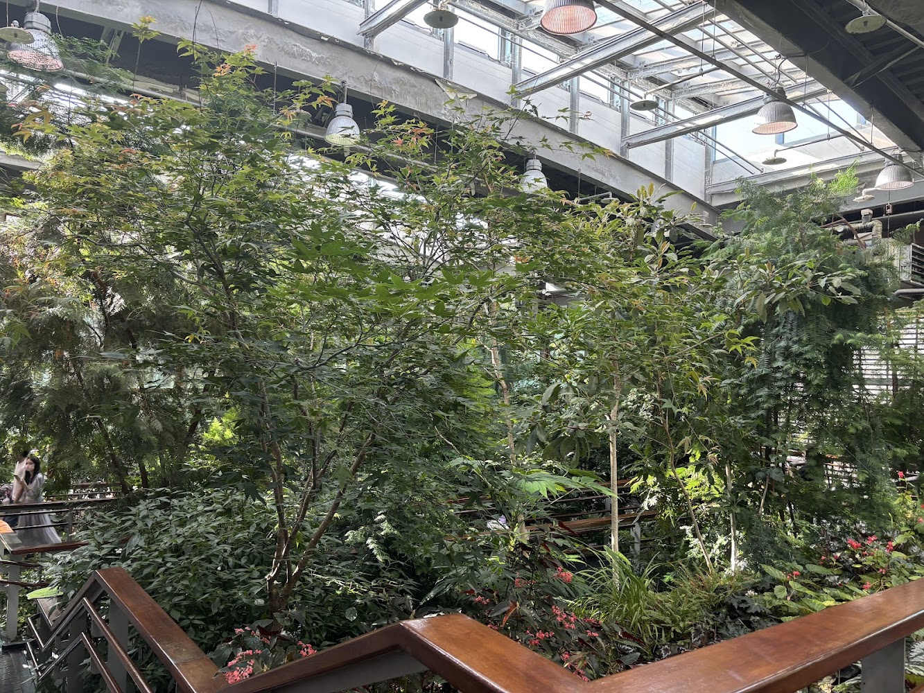 臺北典藏植物園玻璃溫室內部景觀