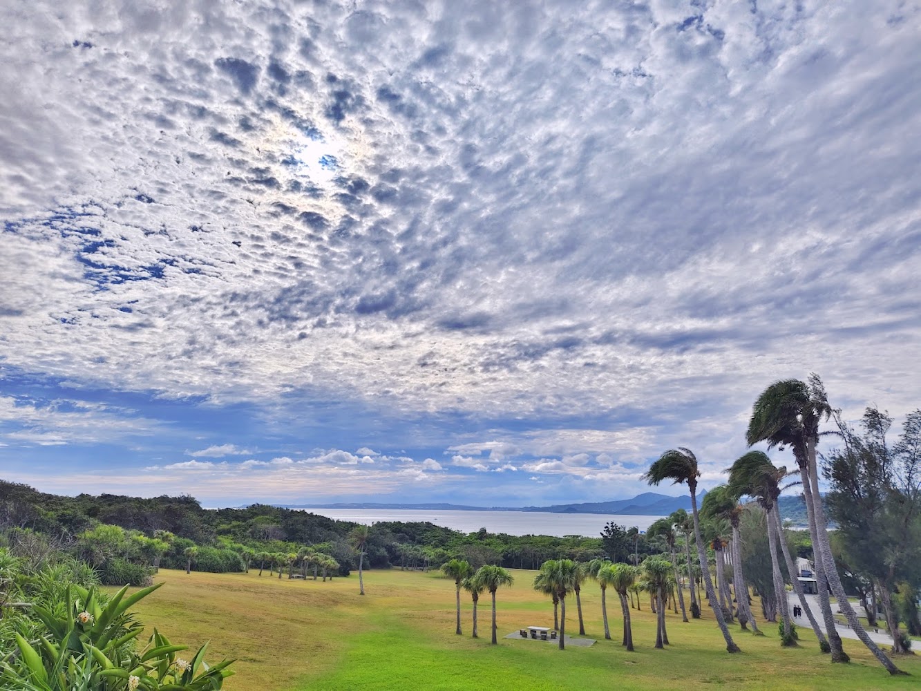 鵝鑾鼻公園棕櫚樹草地與遠方海景