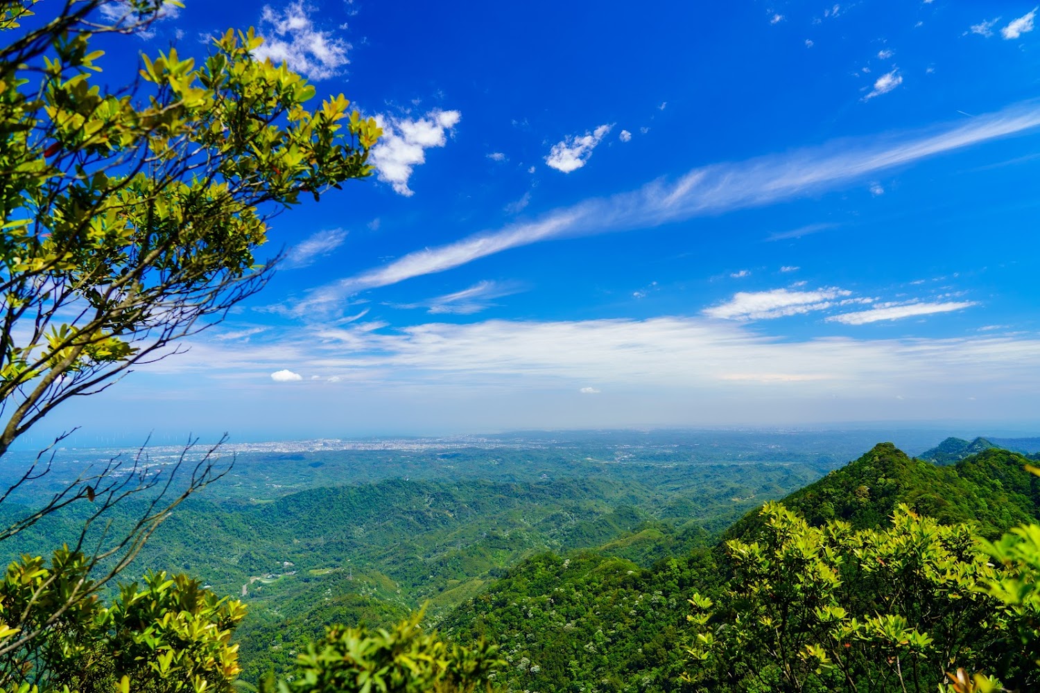 遼闊山林與遠方海景視野