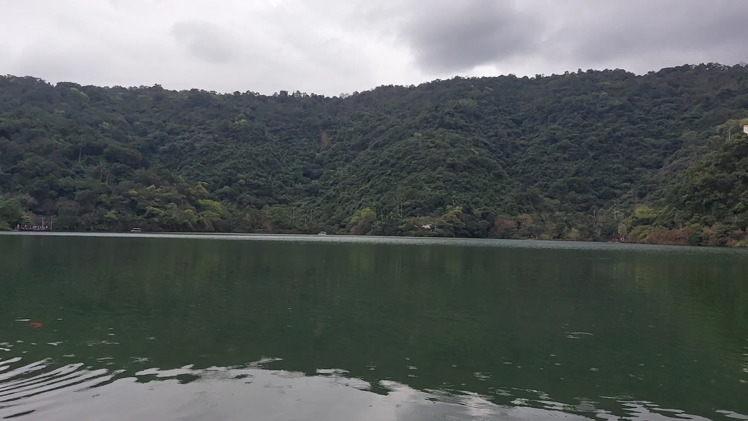 平靜湖面倒映綠色山林
