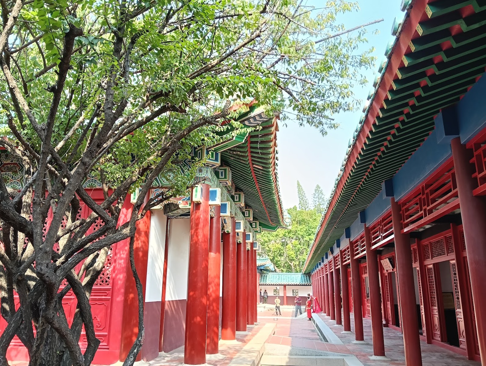台南延平郡王祠廊道仰角，紅柱綠瓦古樹