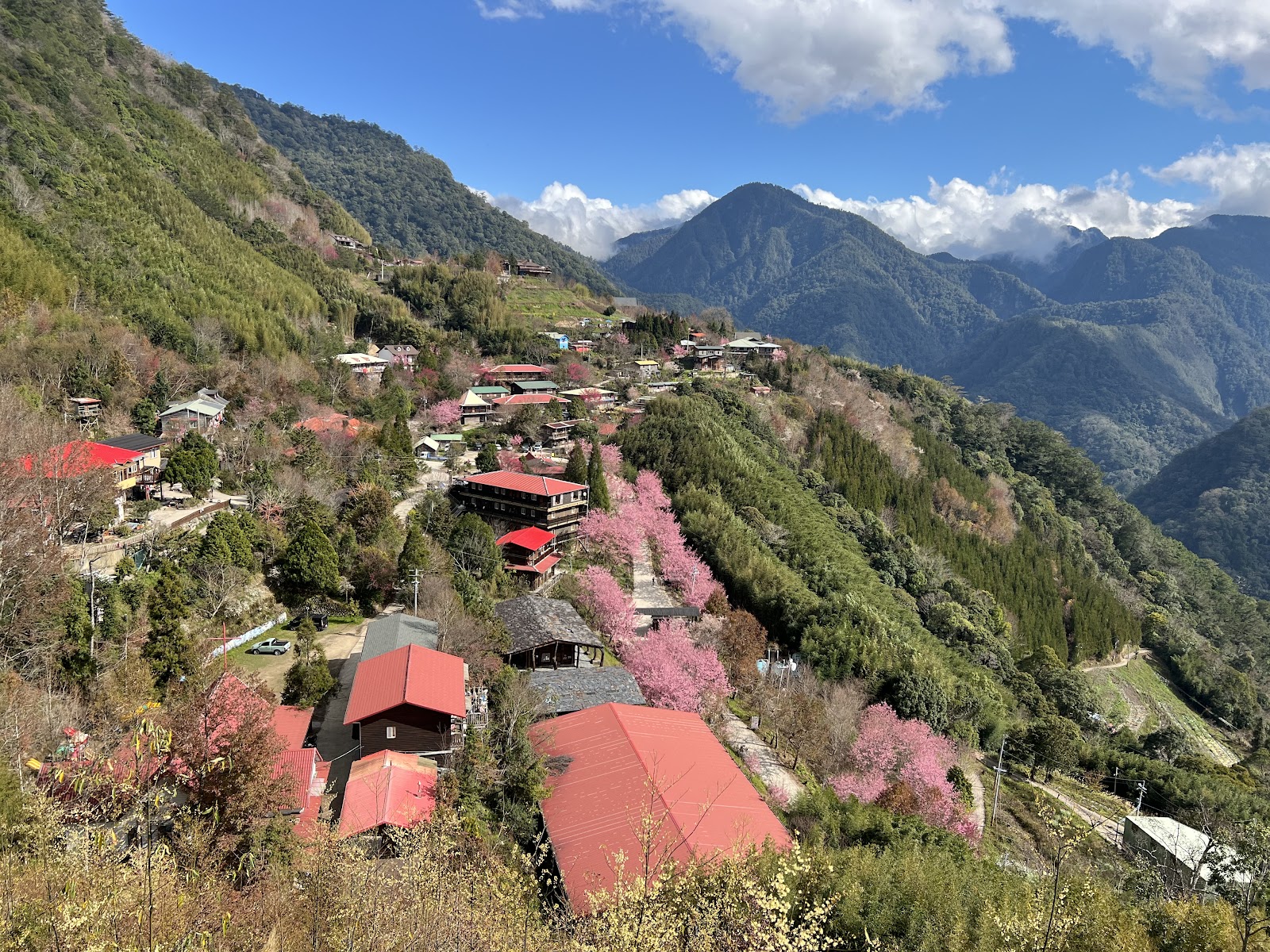 司馬庫斯部落全景，紅色屋頂木屋散佈山坡，粉紅山櫻花盛開，遠方山脈連綿