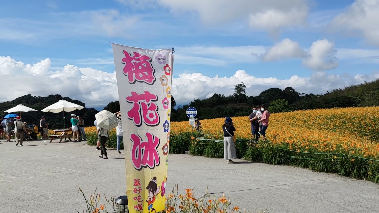 赤科山金針花海與遊客賞花景象