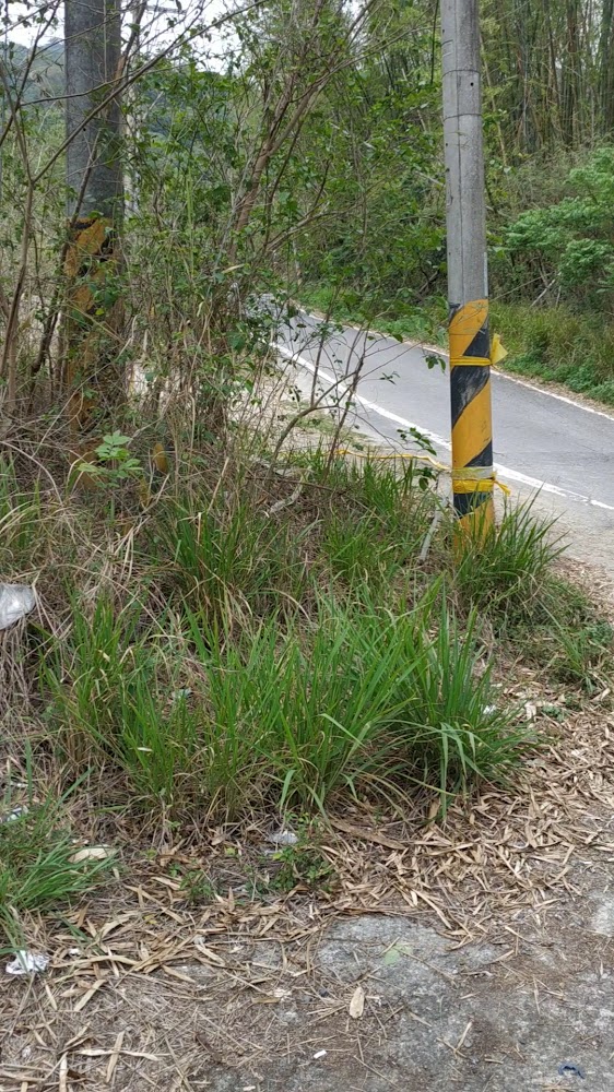 燕巢月世界周邊鄉間小路與電線桿景象
