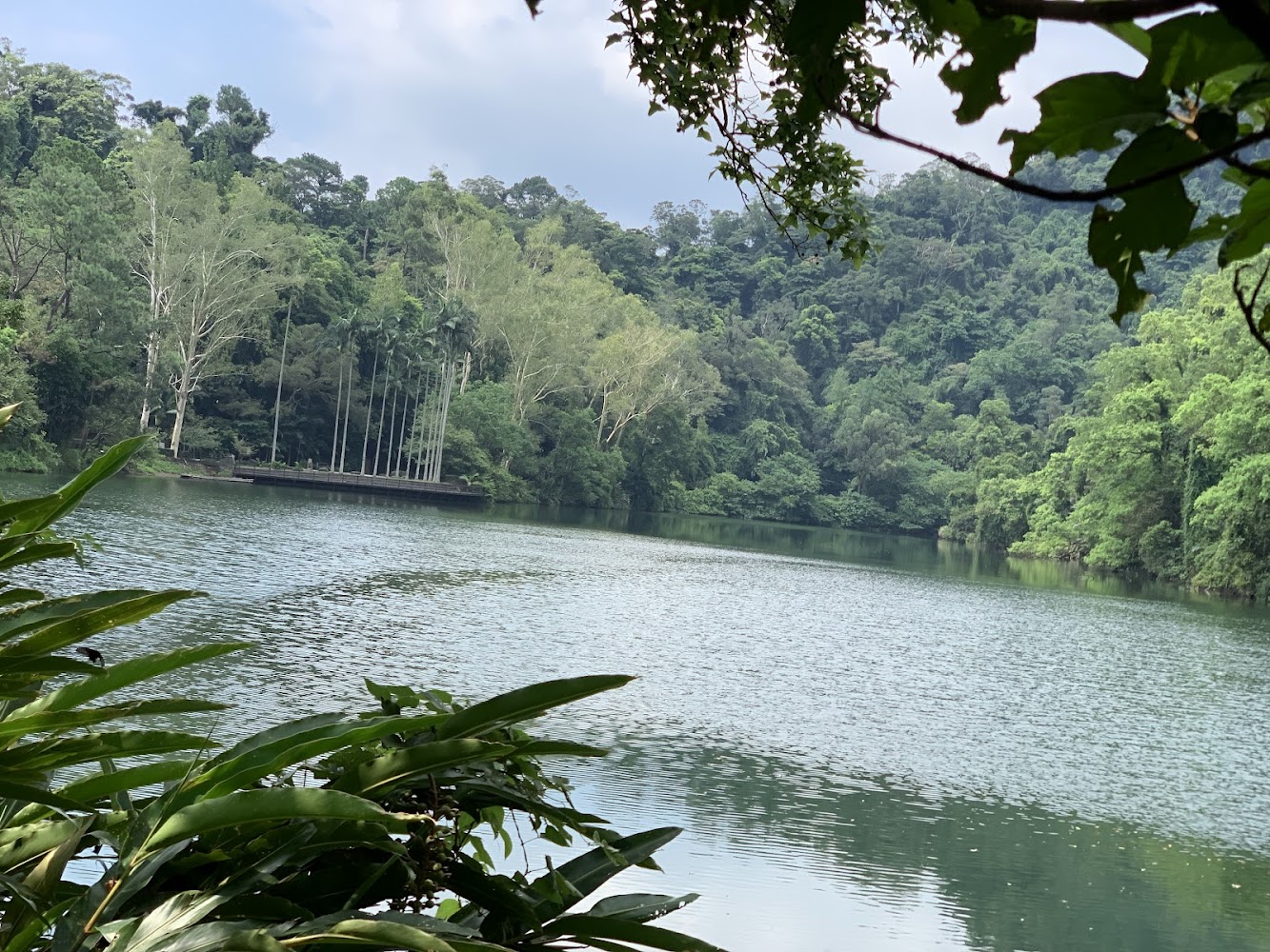 青翠山林環繞的後慈湖湖泊景色