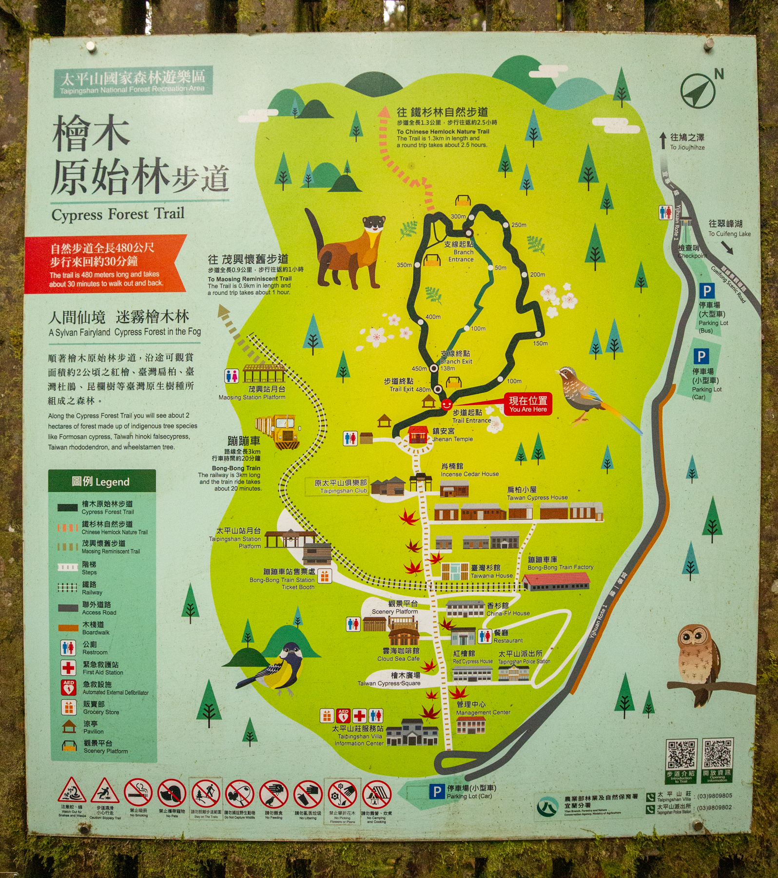 檜木原始林步道導覽地圖看板
