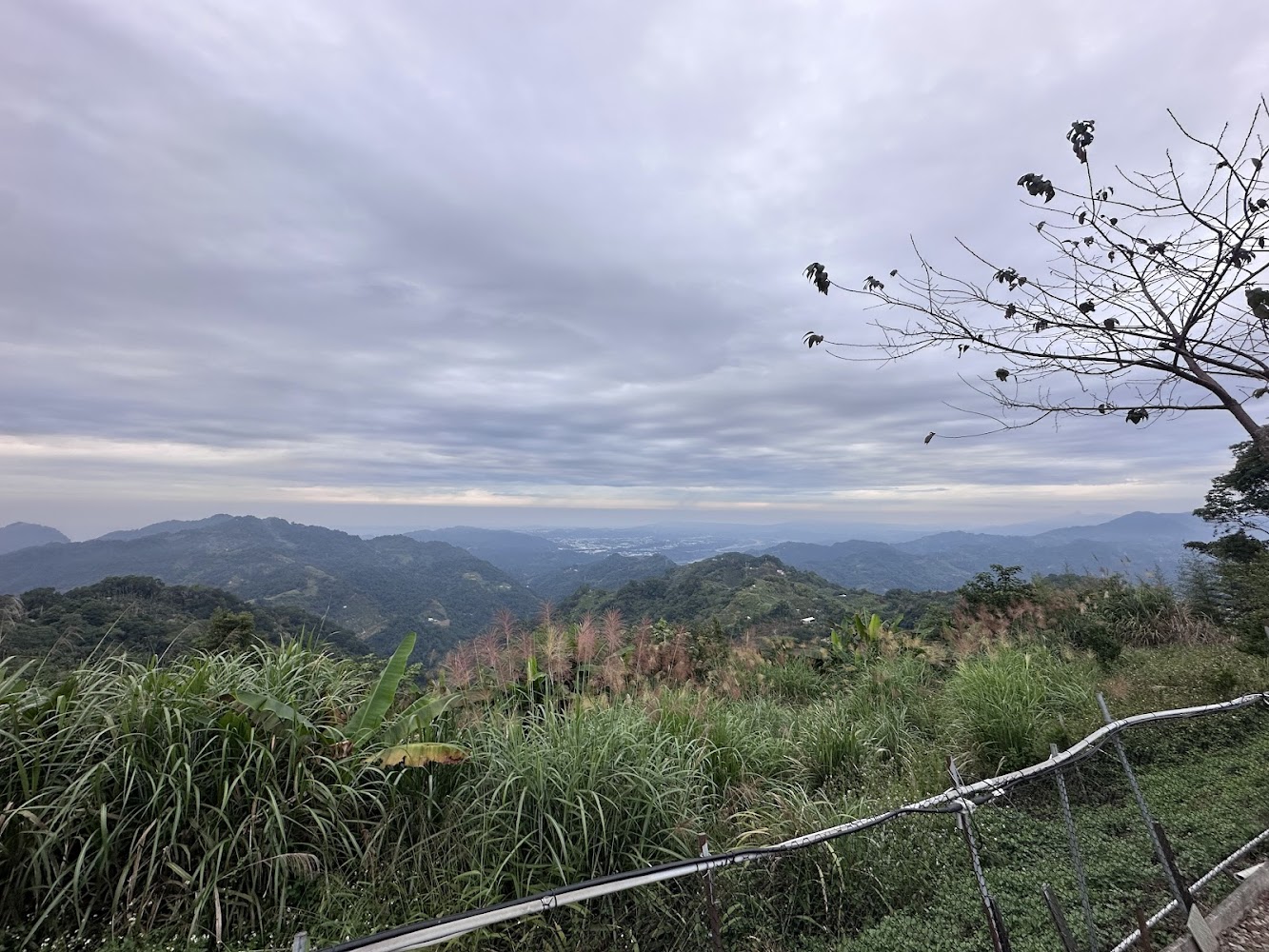 富柿山層疊山景與雲霧