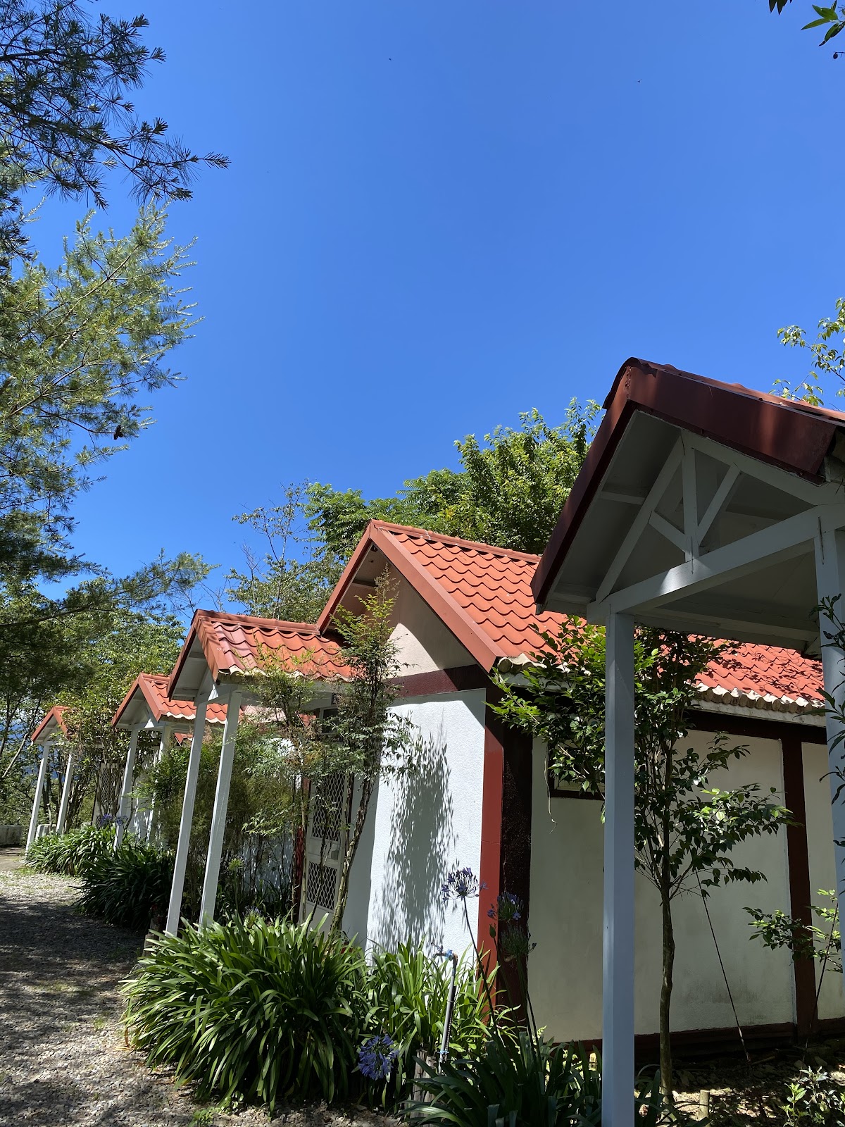 迷露1850米色木屋清境山景