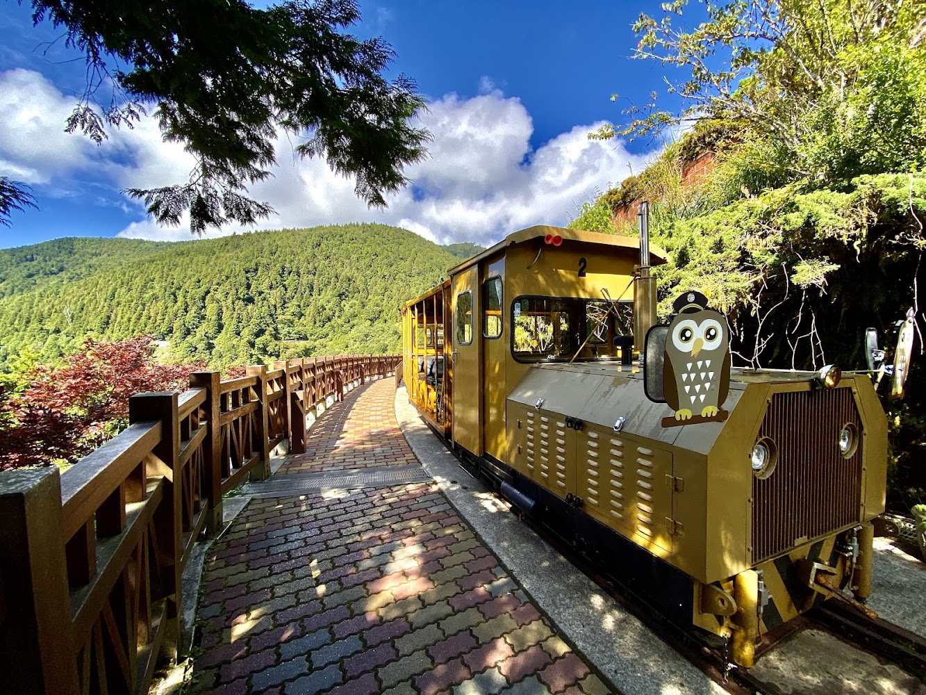 太平山站蹦蹦車在林區軌道上行駛