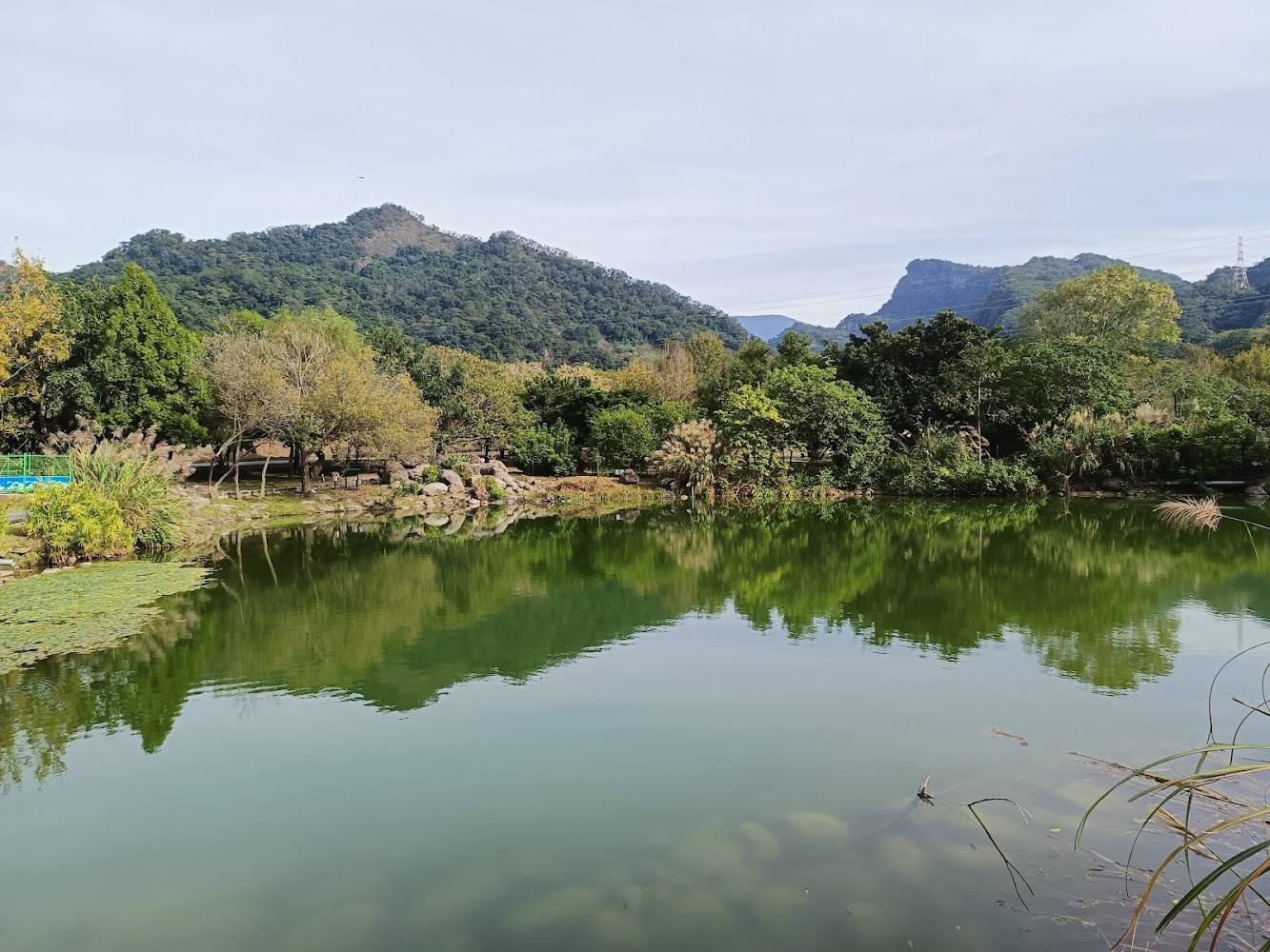 清澈湖泊倒映樹木與青山