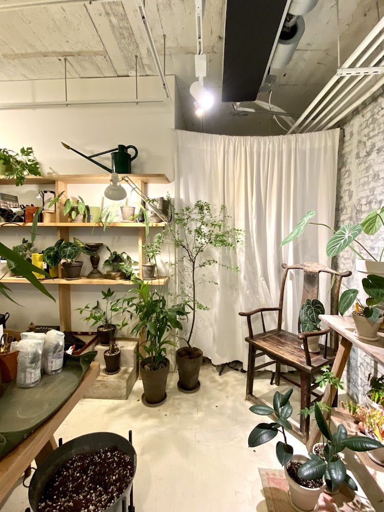 mrs. inoue 室內植物角落與層架