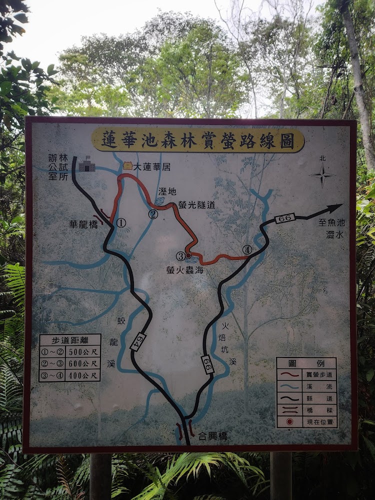 蓮華池森林賞螢步道路線圖與橋樑溪流標示